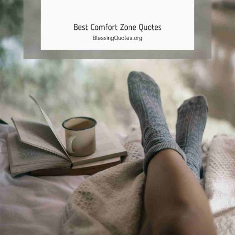 Comfort Zone Quotes