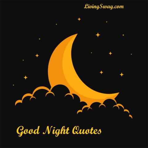 Good Night Quotes