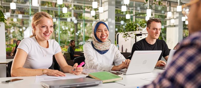 professional nvqs assignment help