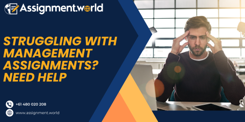 Struggling with Management Assignments? Need Help