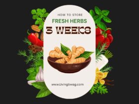 How to Store Fresh Herbs So They Last Up to 3 Weeks