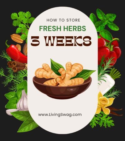 How to Store Fresh Herbs So They Last Up to 3 Weeks