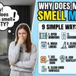 Why Does My Room Smell Musty? 9 Ways to Fix It