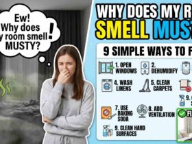 Why Does My Room Smell Musty? 9 Ways to Fix It