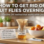 How to Get Rid of Fruit Flies Overnight